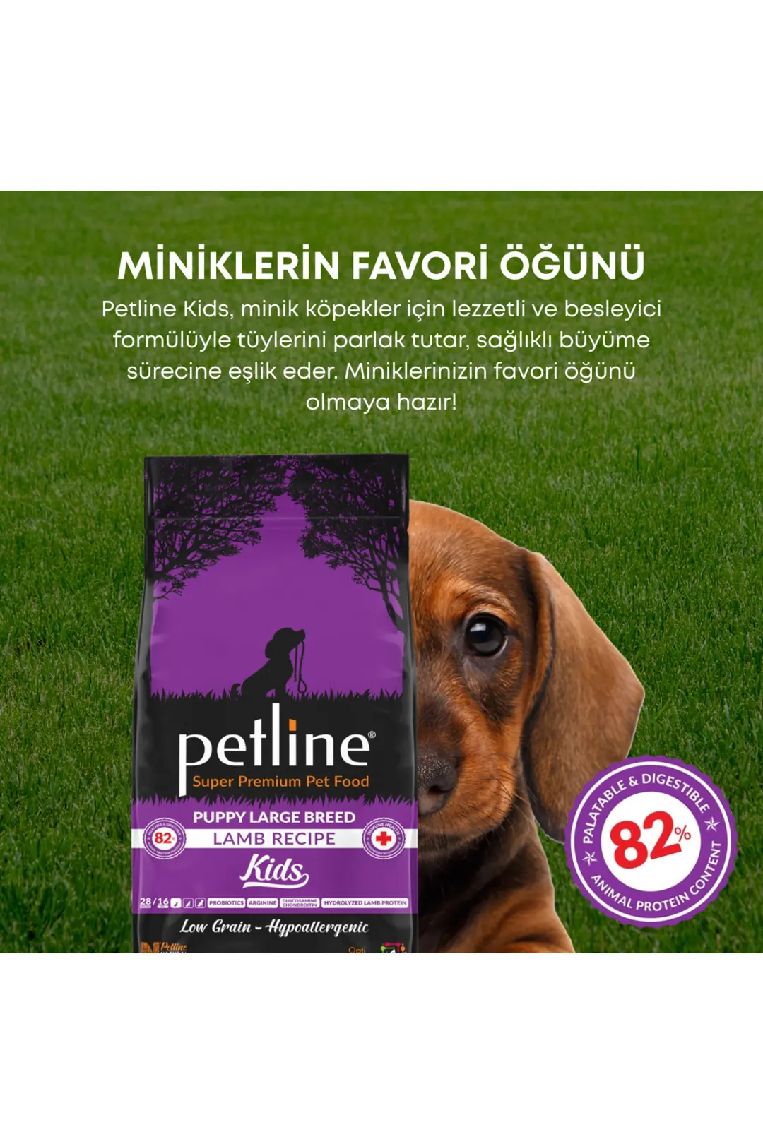 Kemik Ve Kas Gelişimini Destekleyici Kuzu Etli Yavru Köpek Maması 12 Kg - Kids
