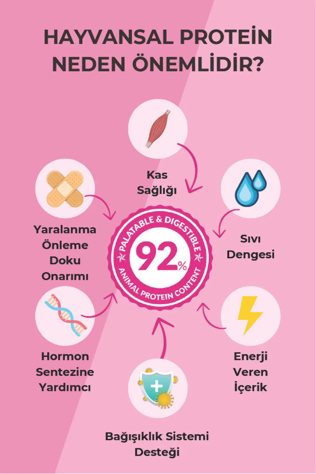 Kilo Almasını Engelleyici Diyet Özellikli Kısır Mama- Kısırlaştırılmış Somonlu Kedi Maması 10 Kg