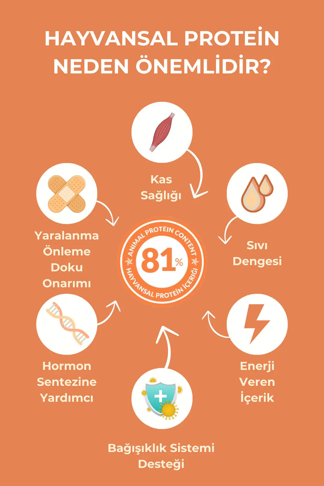 Tüy Ve Deri Sağlığı Için Özel Formüllü- Somonlu Yetişkin Köpek Maması 24kg (2X12KG)