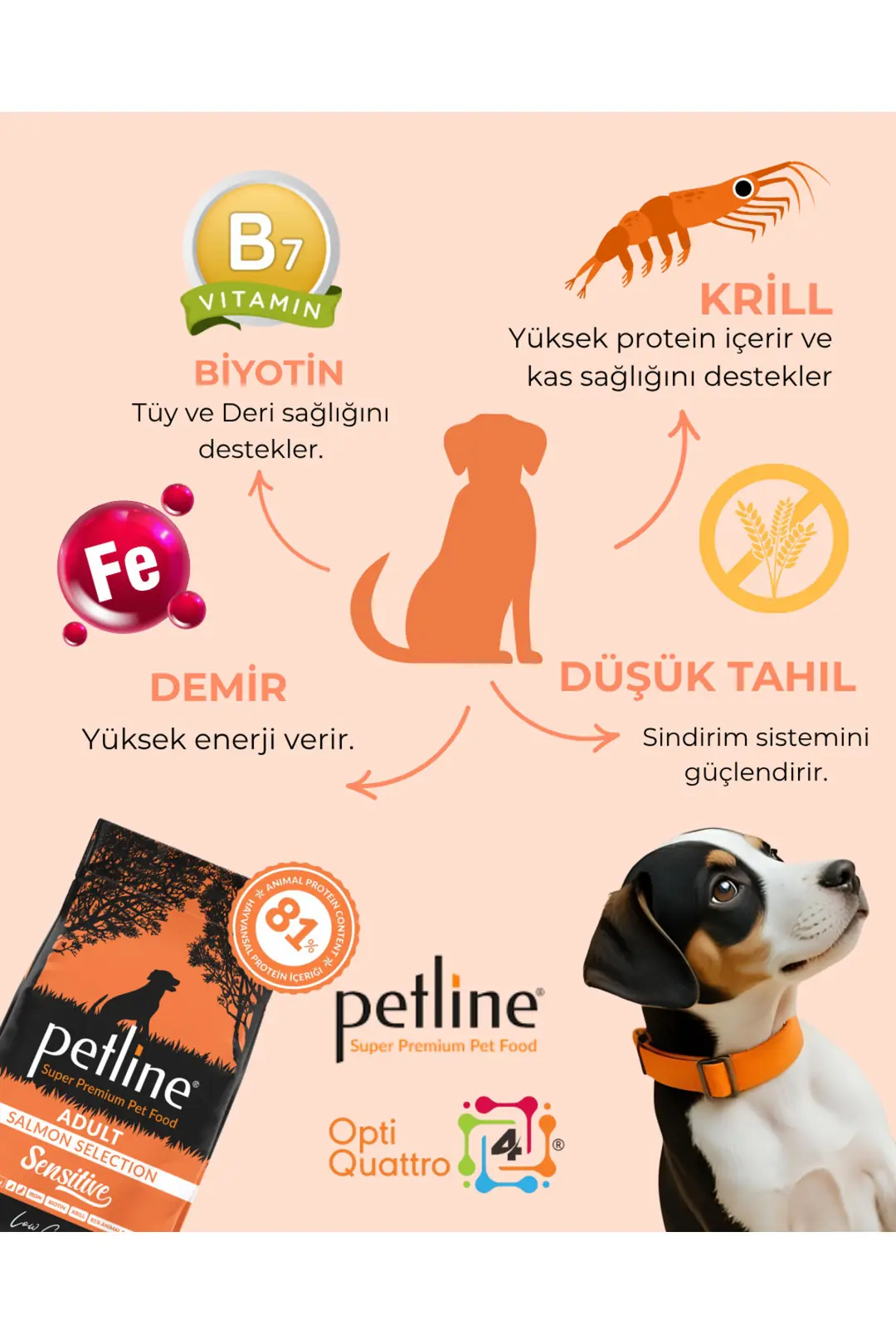 Tüy Ve Deri Sağlığı Için Özel Formüllü- Somonlu Yetişkin Köpek Maması 6kg ( 2 X 3kg)