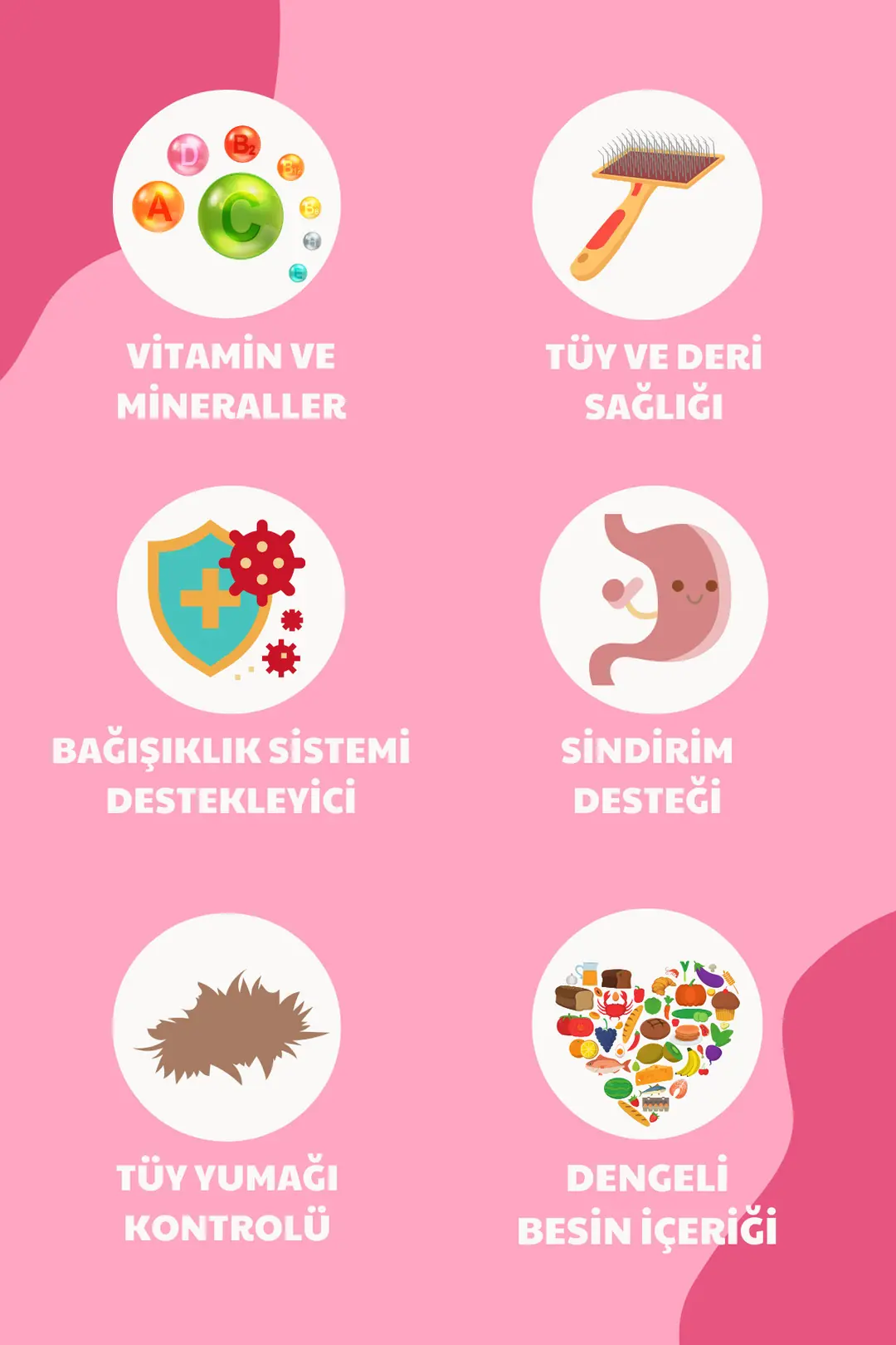 Tavuklu Yavru Kedi Maması 1.5 Kg