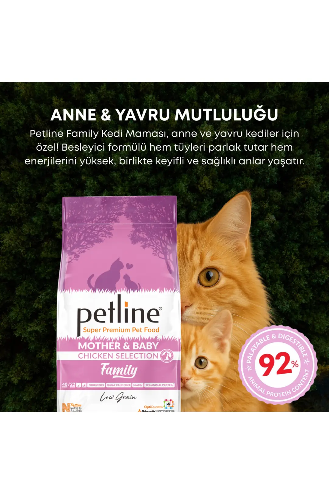 Anne Ve Yavruya Özel Besleyici Tavuklu Kedi Maması 1,5kg - Family