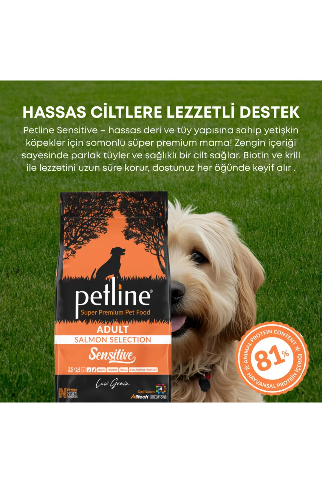 Tüy Ve Deri Sağlığı Için Özel Formüllü- Somonlu Köpek Maması 12kg- Sensitive