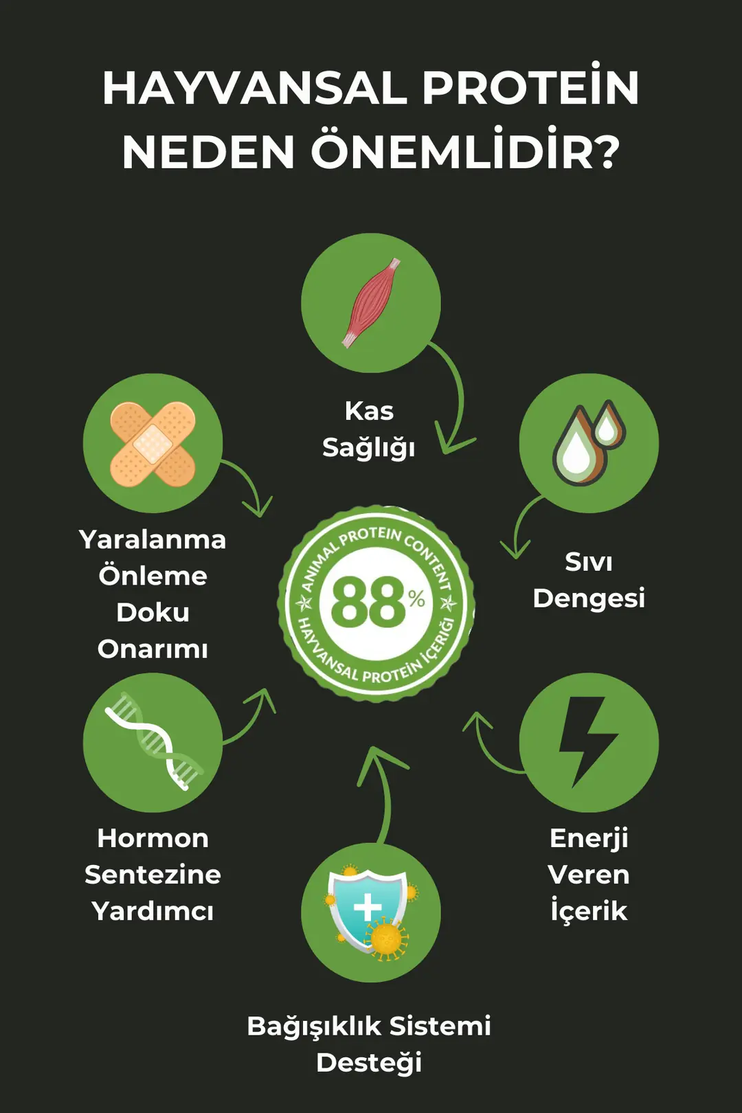 Mini Irklara Özel Üretilmiş Kuzu Etli Yavru Köpek Maması Başlangıç Maması 3kg - Starter