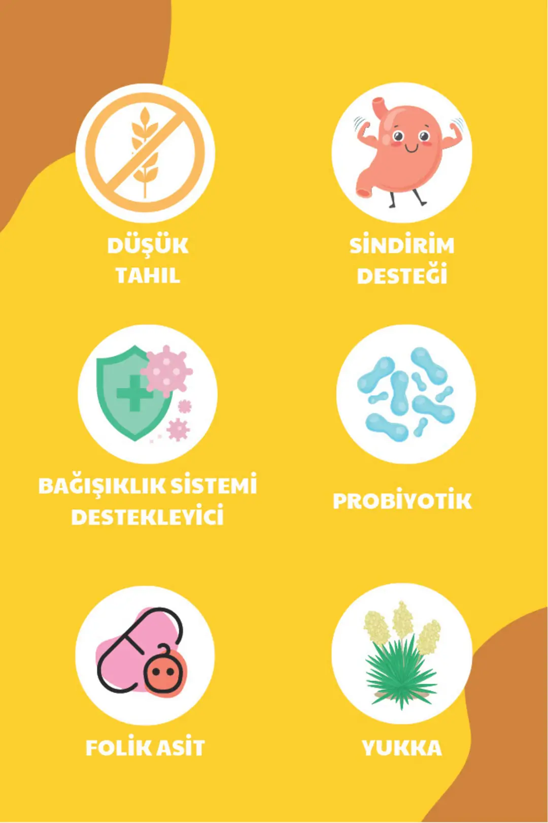 Yüksek Proteinli Ve Dengeli Beslenme Sağlayan Tavuklu Kedi Maması 3kg (2 X 1.5KG) - Delicate