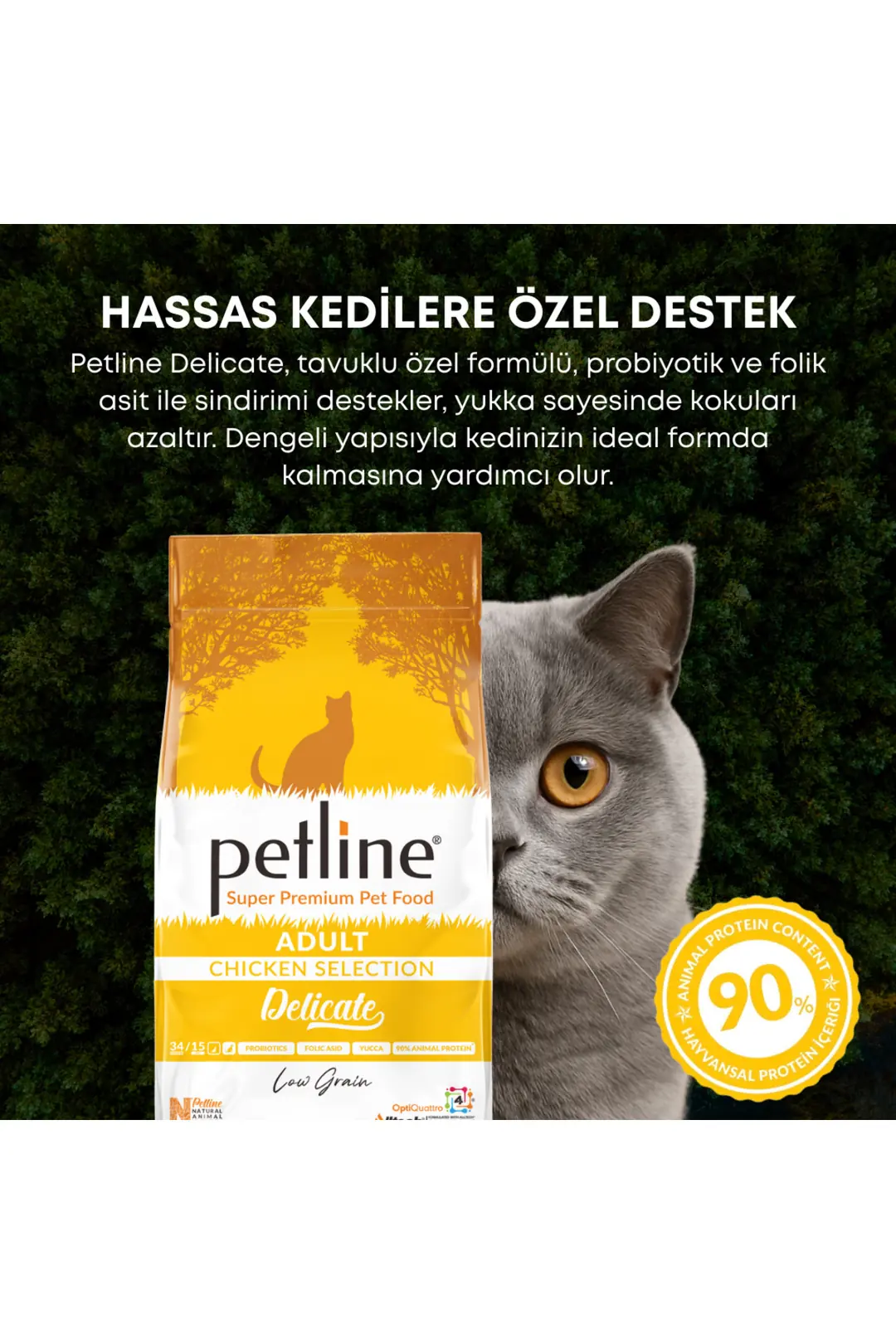 Yüksek Proteinli Ve Dengeli Beslenme Sağlayan Tavuklu Kedi Maması 1.5 kg - Delicate