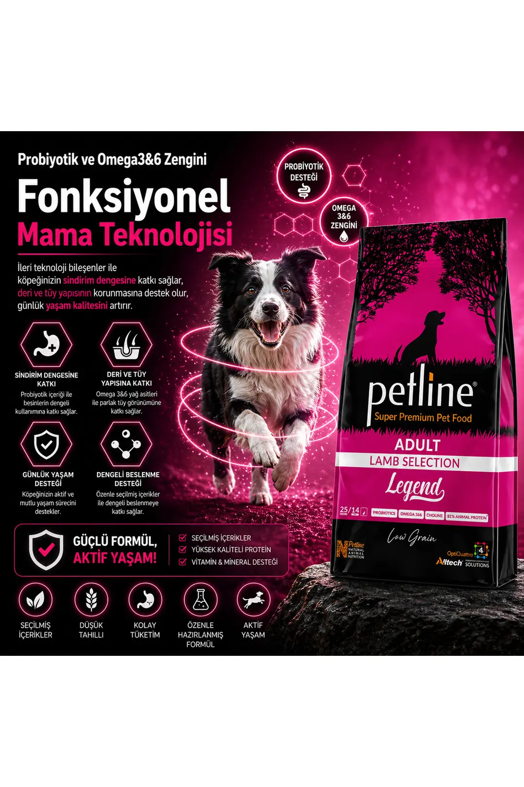 Probiyotik ve Omega3&6 Zengini Yetişkin Köpek Maması 3kg - Legend