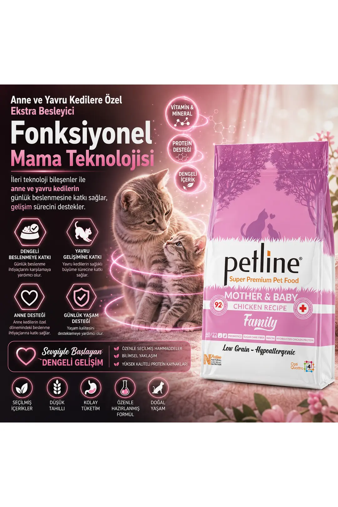 Anne Ve Yavruya Özel Besleyici Tavuklu Kedi Maması 1,5kg - Family