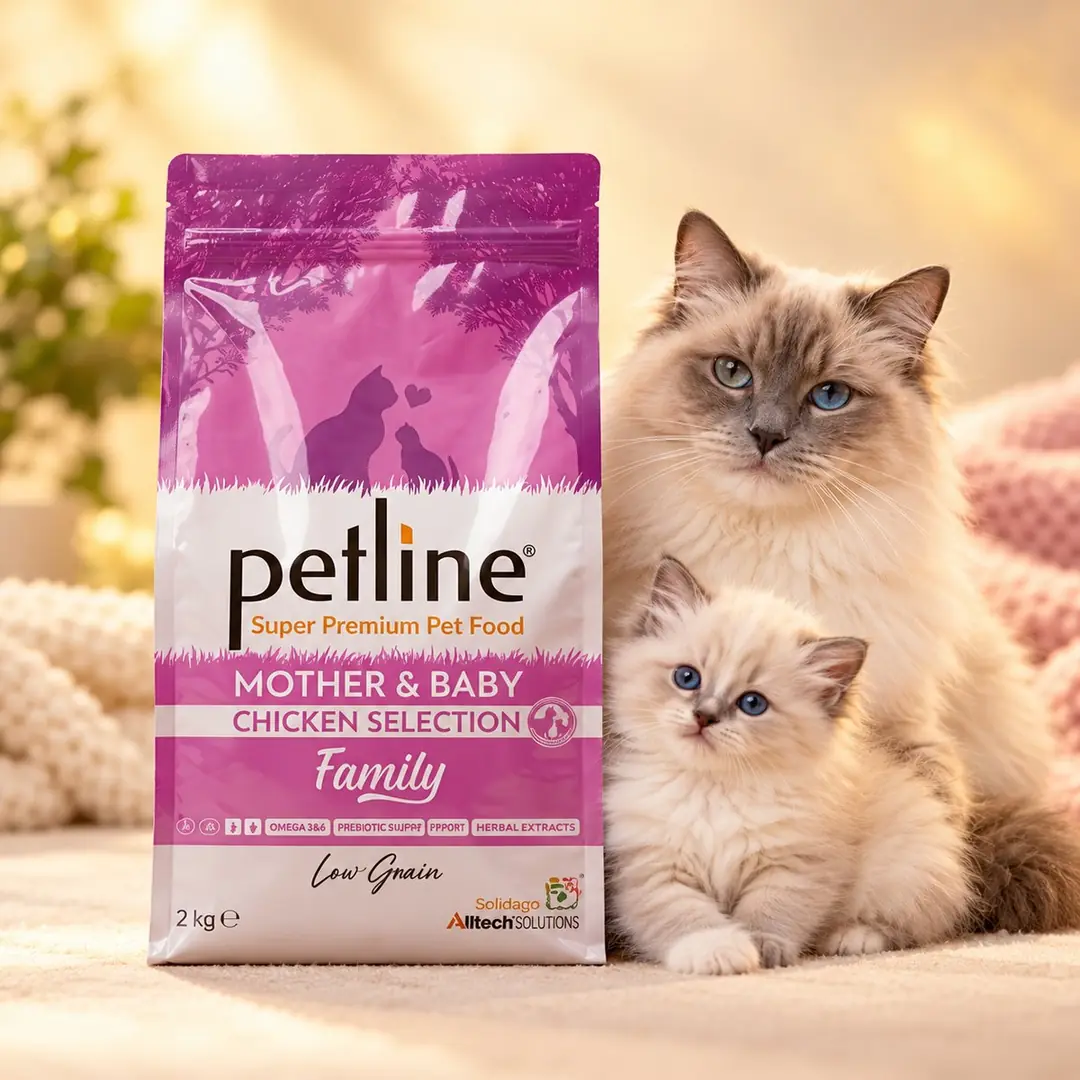 Anne Ve Yavruya Özel Besleyici Tavuklu Kedi Maması 1,5kg - Family