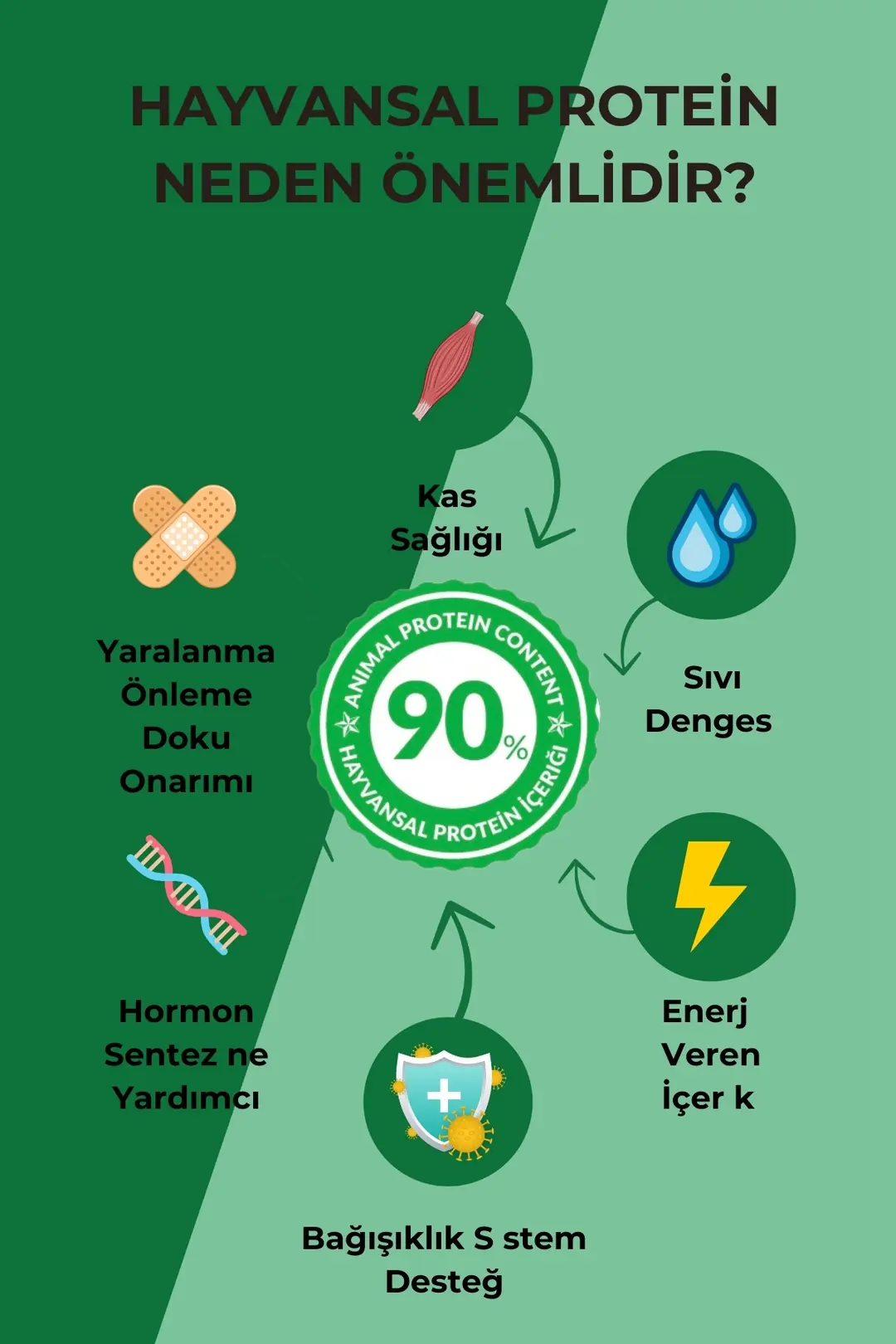 Tüy Ve Deri Sağlığını Destekleyici Hypoallergenic Kuzu Etli Yetişkin Kedi Maması 1,5 Kg