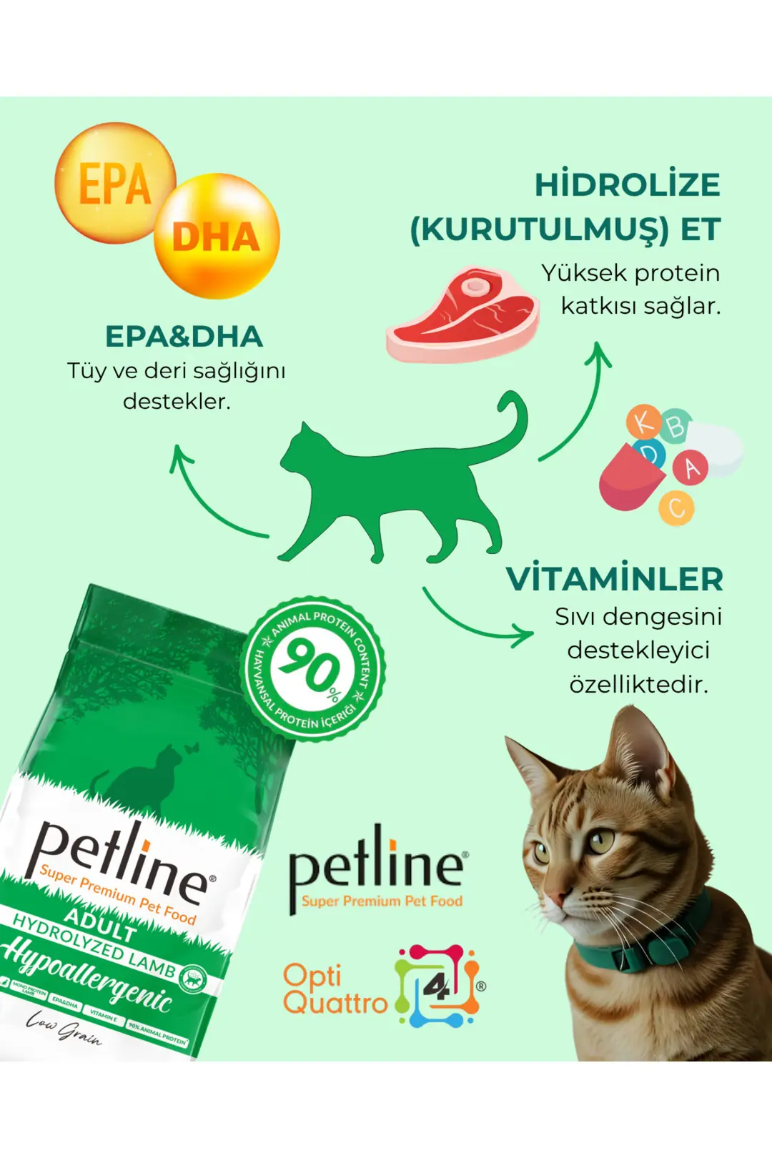 Tüy Ve Deri Sağlığını Destekleyici Hypoallergenic Kuzu Etli Yetişkin Kedi Maması 1,5 Kg