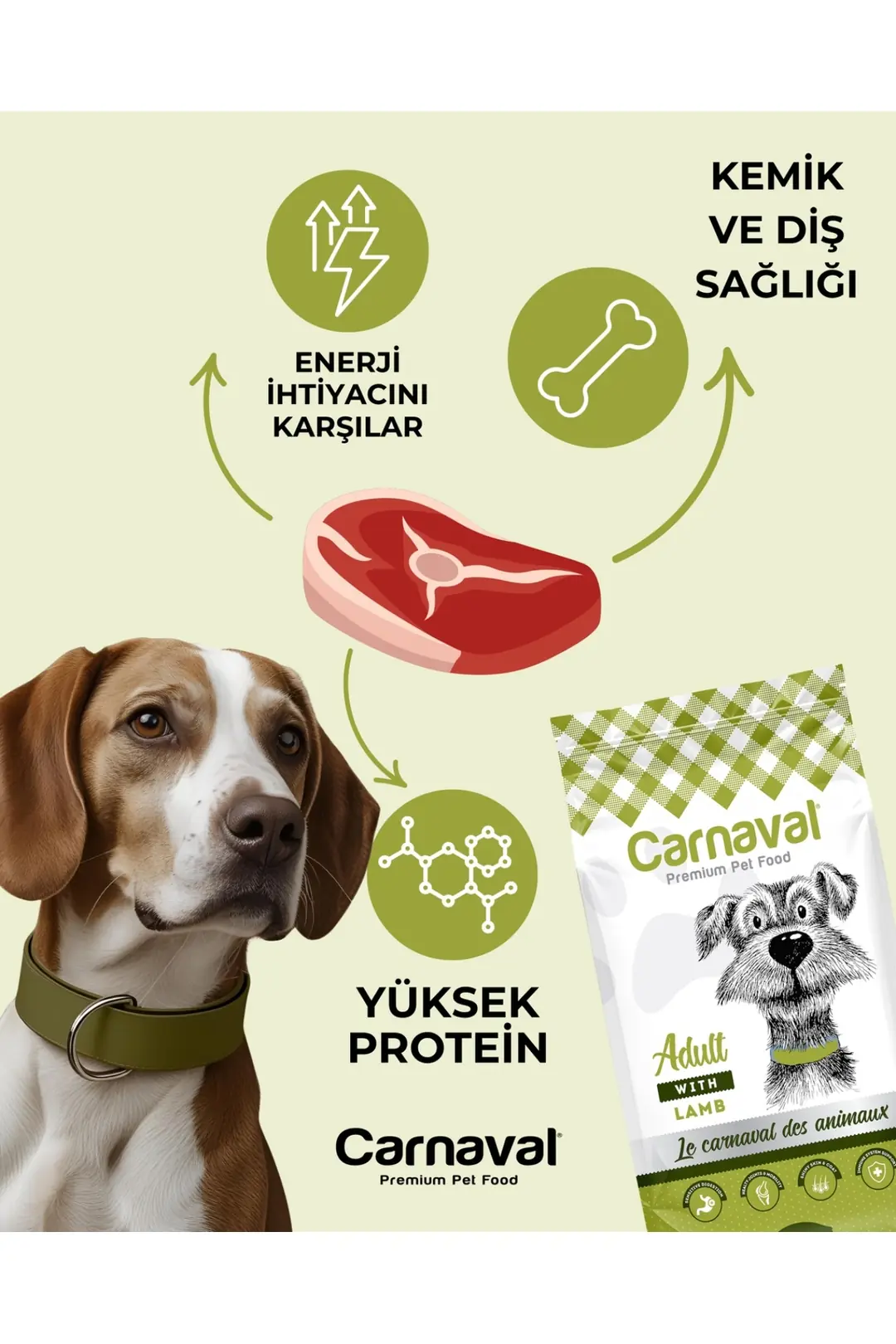 Kuzu Etli Yetişkin Köpek Maması 9kg (3X3KG)