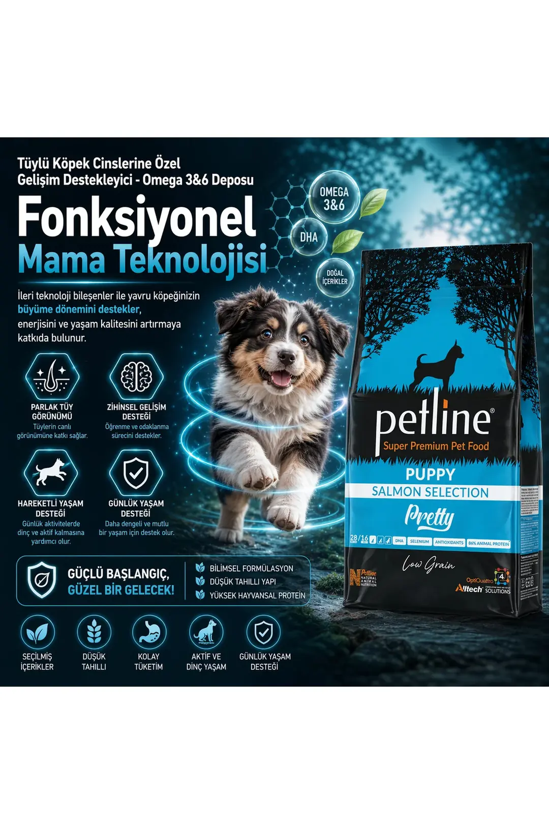 Antioksidan Ve Omega Deposu Somonlu Yavru Köpek Maması 12kg - Pretty