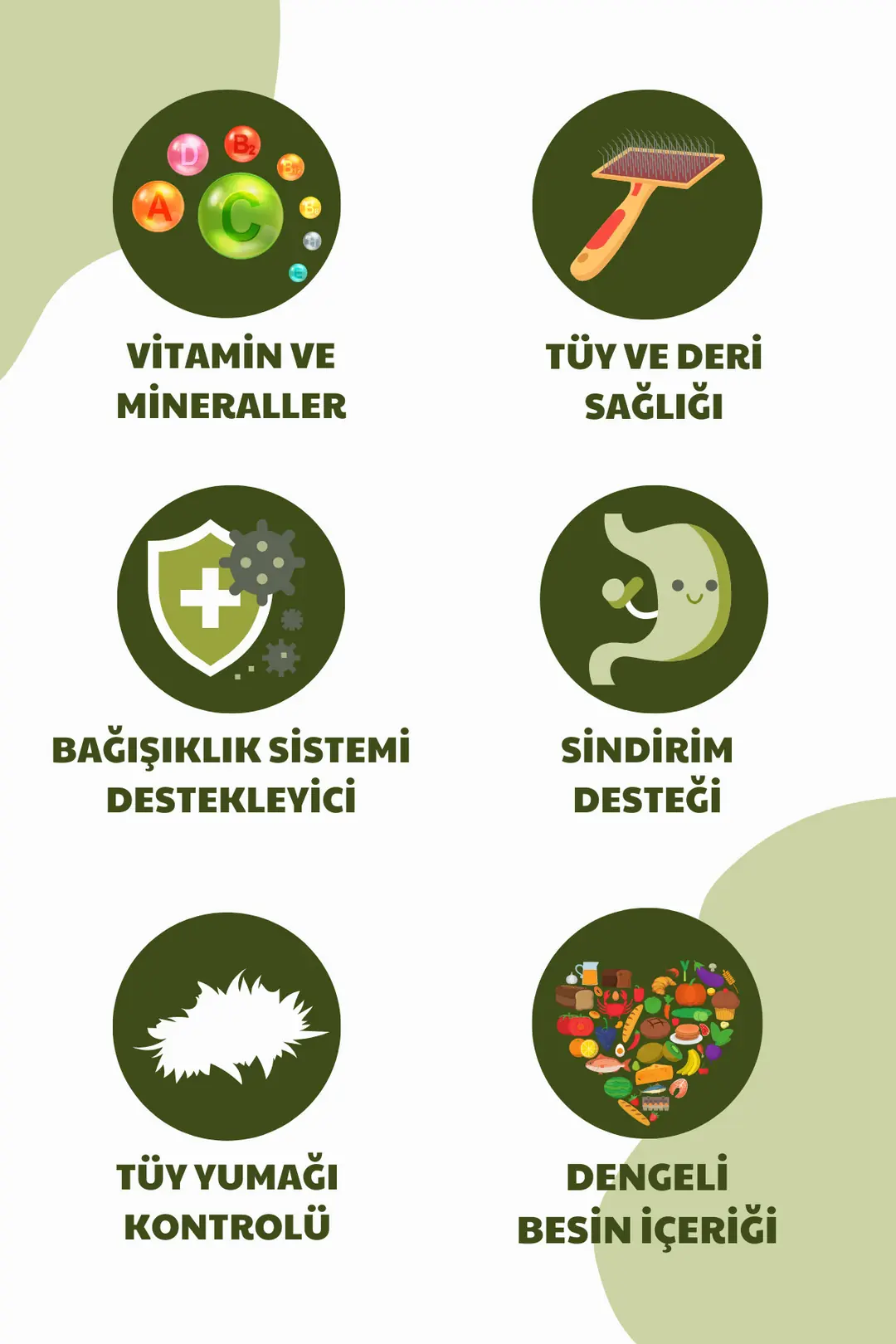Kuzu Etli Ve Pirinçli Yetişkin Köpek Maması 6kg (2X3KG)