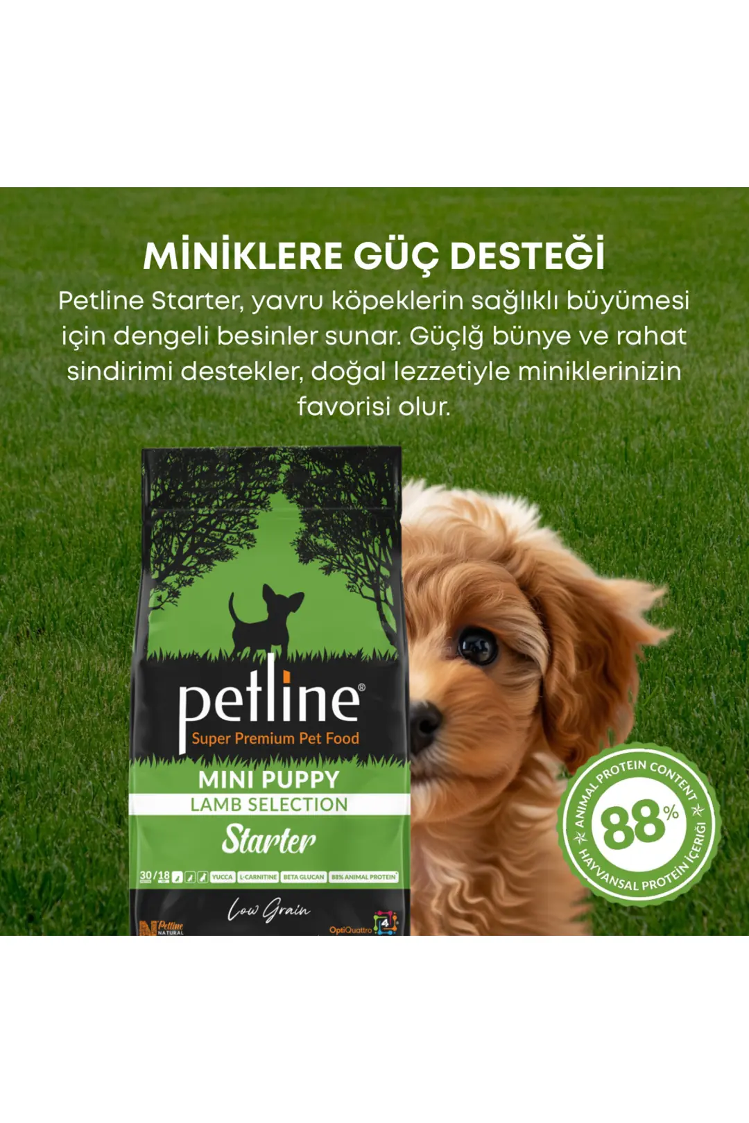 Mini Irklara Özel Üretilmiş Kuzu Etli Yavru Köpek Maması Başlangıç Maması 3kg - Starter