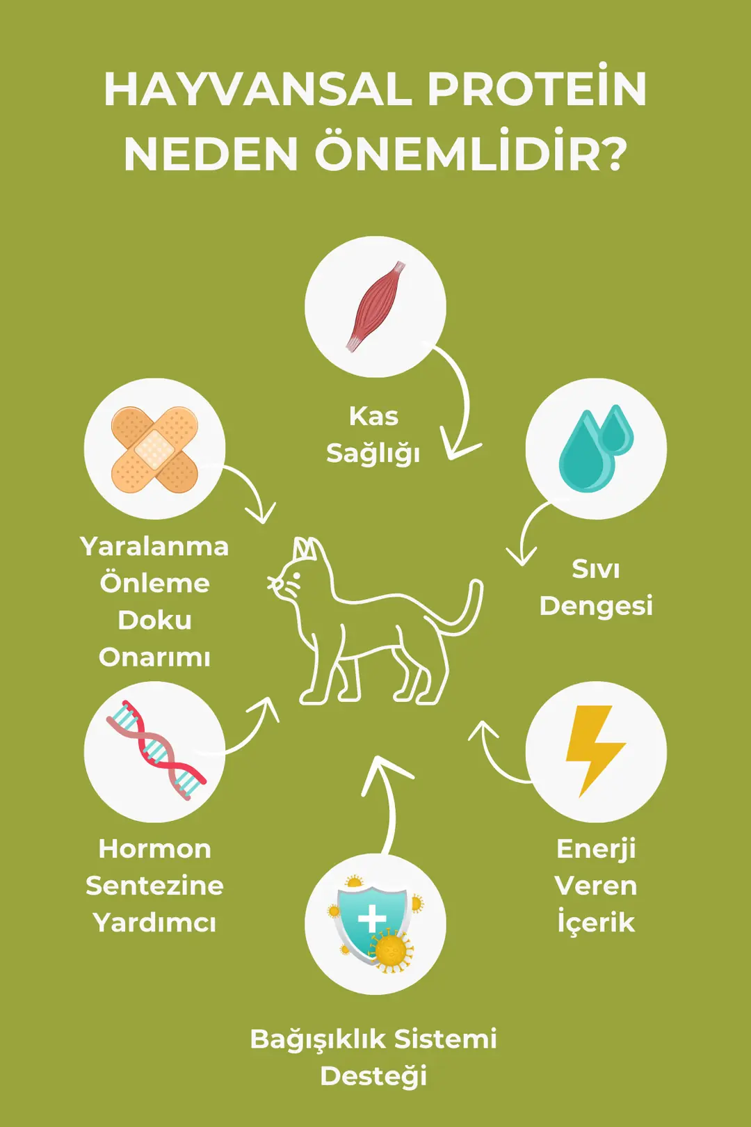 Kuzu Etli Yetişkin Köpek Maması 9kg (3X3KG)