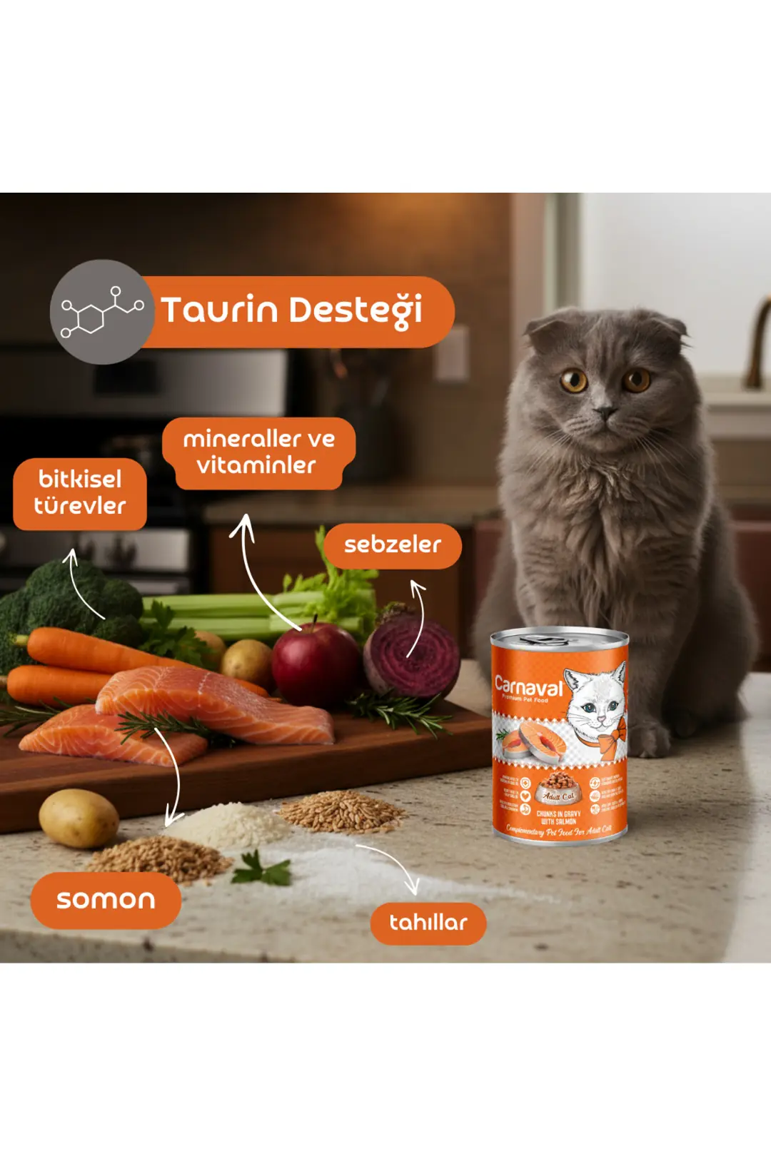 Kaliteli Yaş Mama 48 Adet Yetişkin Kedi Konservesi - Somon Balıklı 400 gr