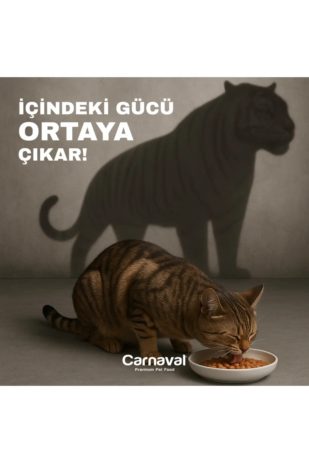 Tavuklu Kedi Konservesi 400 Gr X 1 Adet