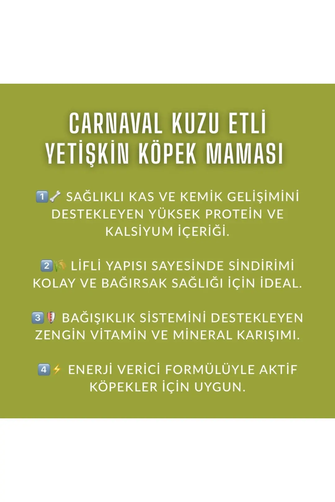 Kuzu Etli Yetişkin Köpek Maması 9kg (3X3KG)