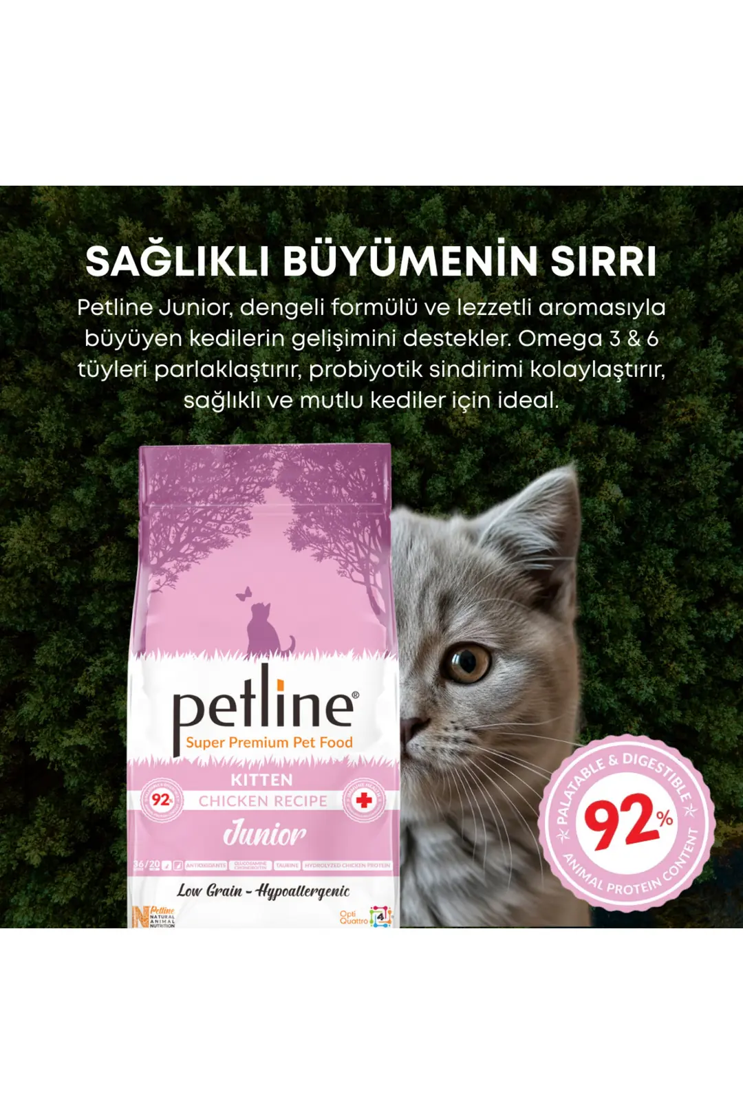 Kondroitin Ve Taurin Destekli Tavuklu Yavru Kedi Maması 1,5kg - Junıor Kıtten