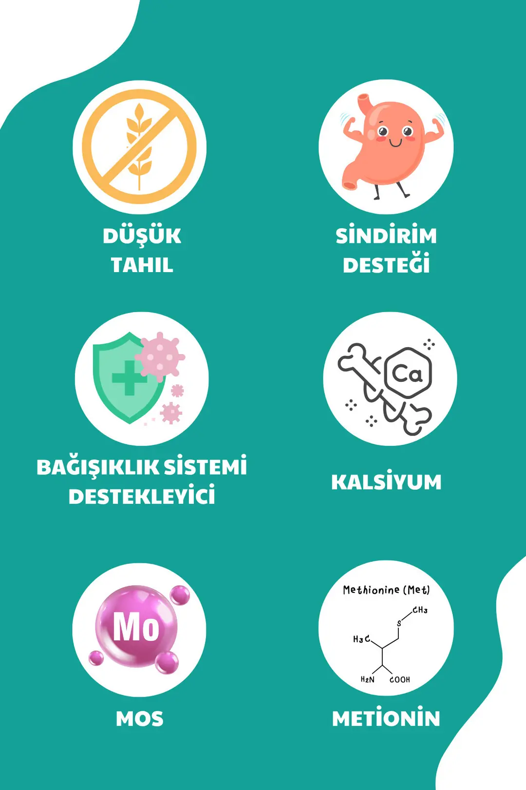 Mini Irk Köpeklere Özel Geliştirilmiş Kuzu Etli Köpek Maması 6 Kg Clever