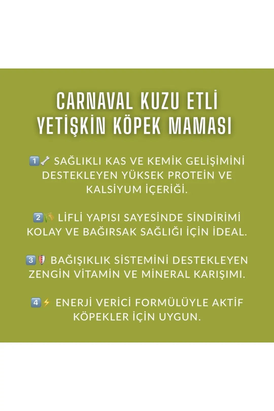 Kuzu Etli Ve Pirinçli Yetişkin Köpek Maması 6kg (2X3KG)