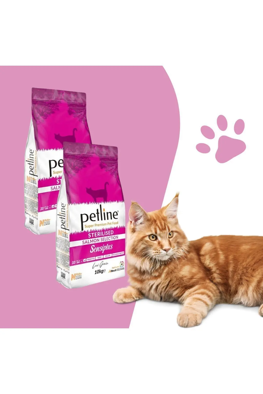 Kısırlaştırılmış Somonlu Yetişkin Kedi Maması 20kg (2 X 10KG) - Sensıplus