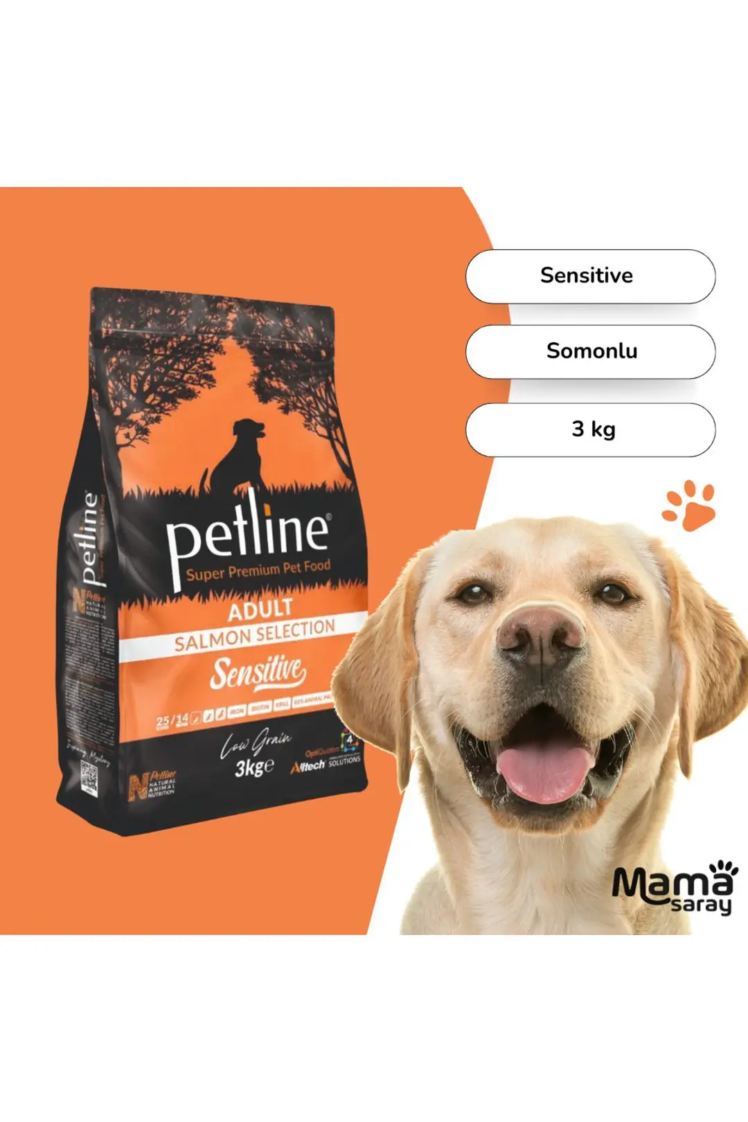 Tüy Ve Deri Sağlığı Için Özel Formüllü Sensitive Somonlu Yetişkin Köpek Maması 3 Kg
