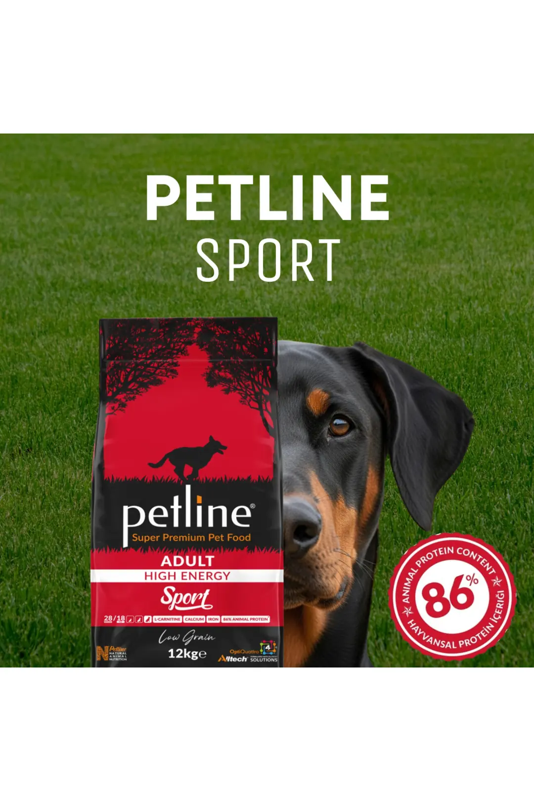 Av Köpekleri Ve Büyük Irk Köpeklere Özel Sport Kuzu Etli Köpek Maması Yüksek Enerji 24kg (2 X 12KG)