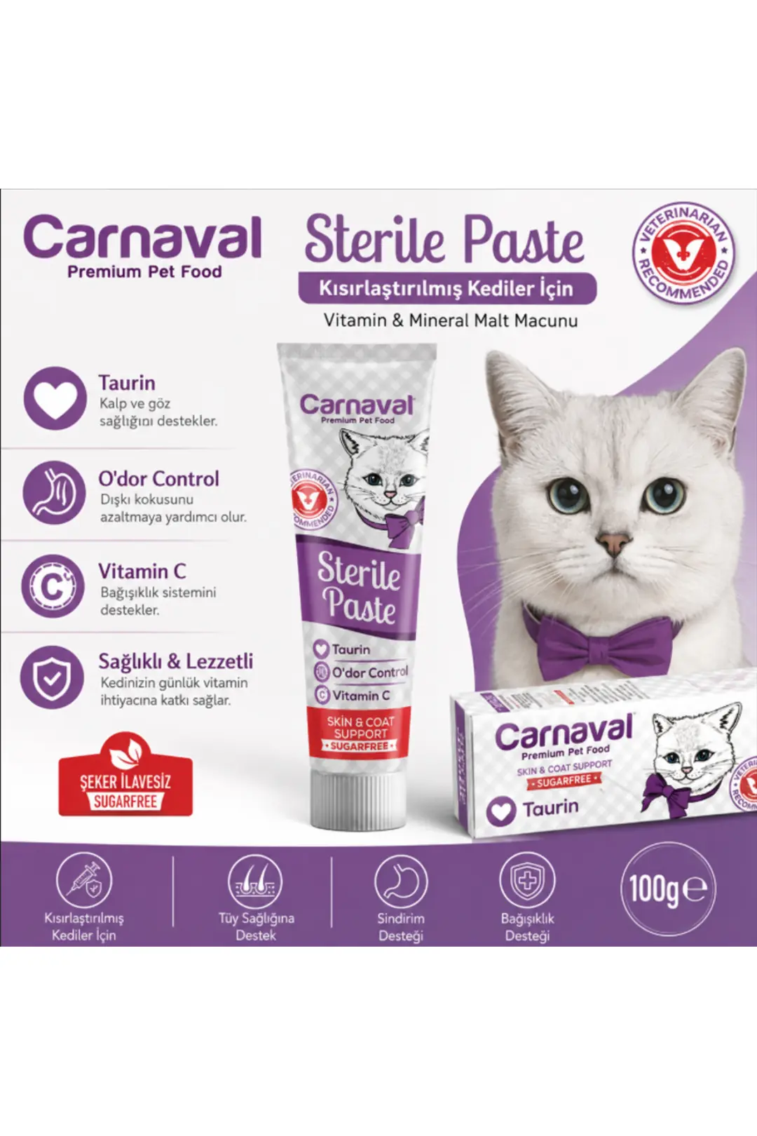 Taurin Katkılı Steril Paste Kedi Macunu