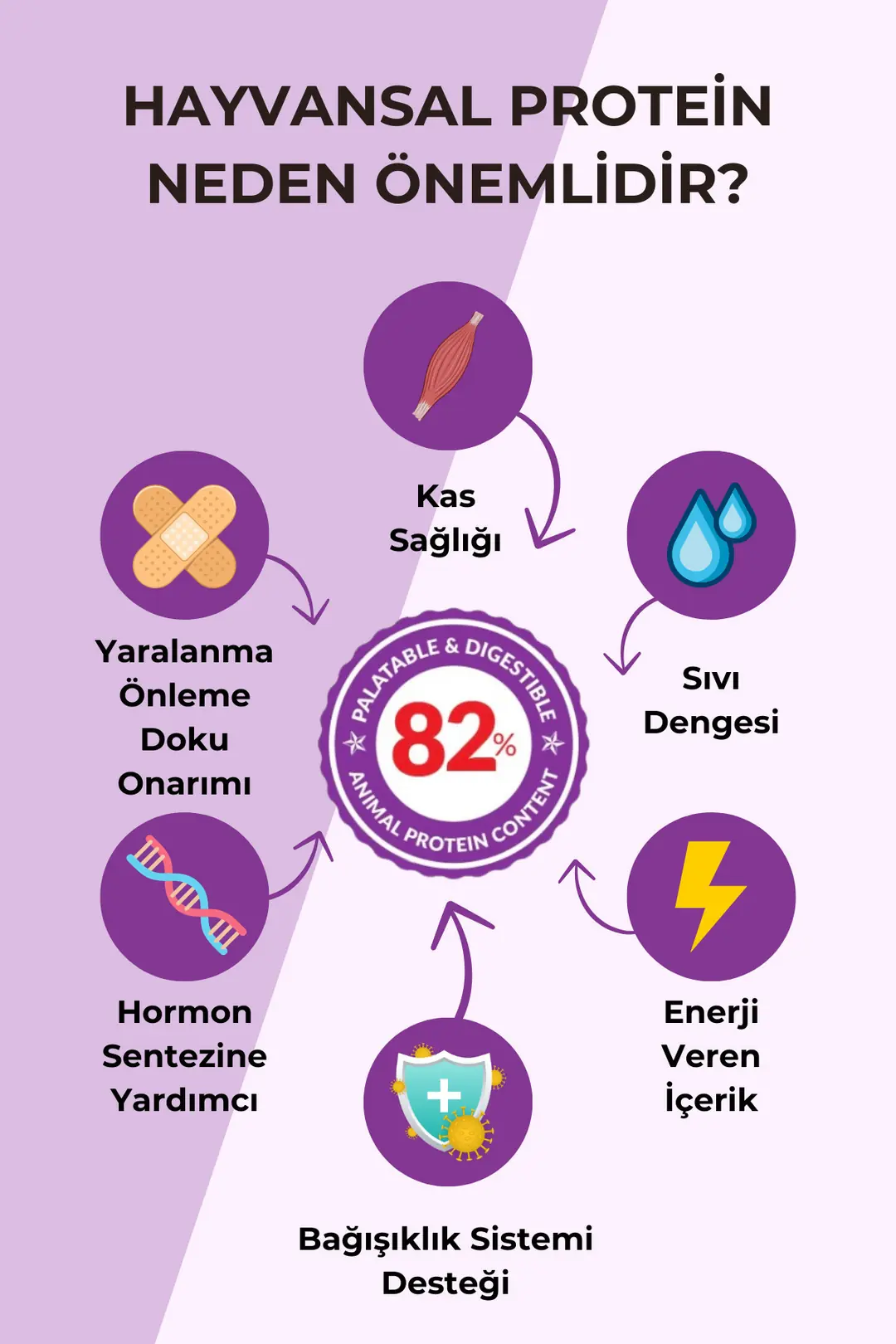 Kemik Ve Kas Gelişimini Destekleyici Kuzu Etli Yavru Köpek Maması 12 Kg - Kids