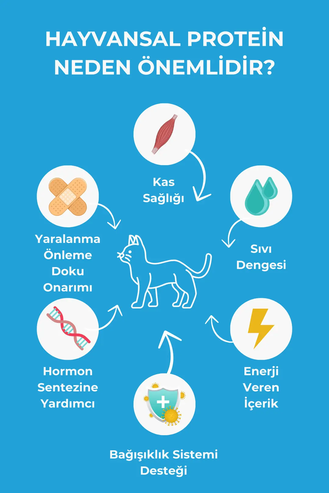 Kuzu Etli Yavru Köpek Maması 3kg