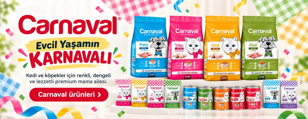 Evcil Yaşamın Karnavalı