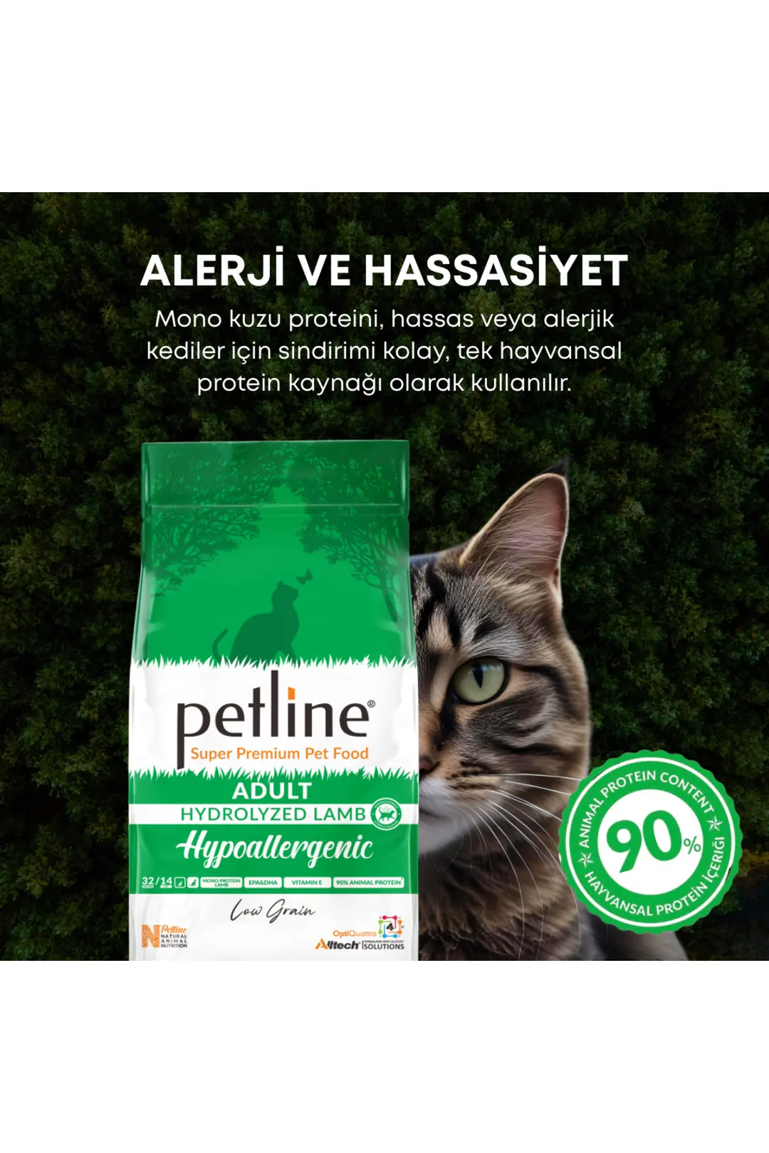 Tüy Ve Deri Sağlığını Destekleyici Hypoallergenic Kuzu Etli Yetişkin Kedi Maması 1,5 Kg