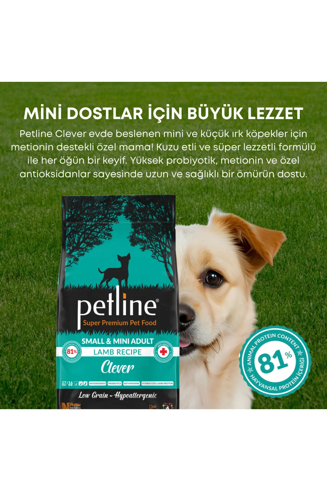 Mini Irk Köpeklere Özel Geliştirilmiş Kuzu Etli Köpek Maması 6 Kg Clever