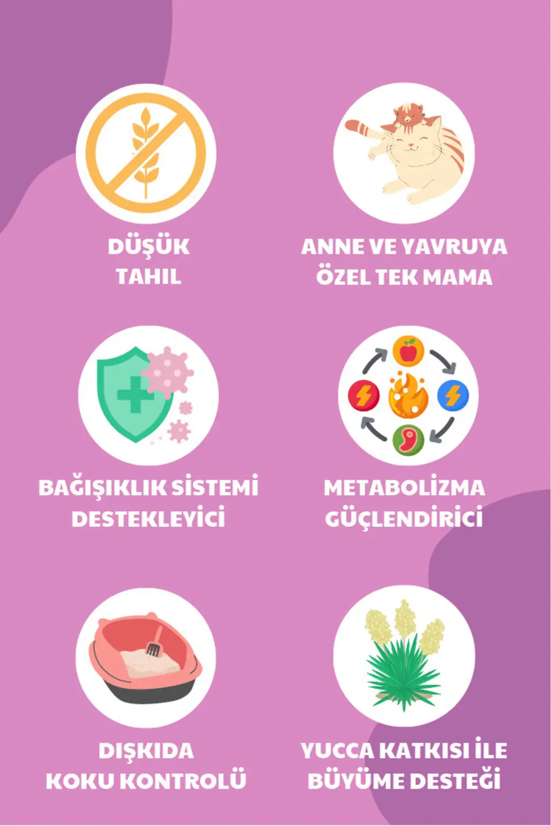 Anne Ve Yavruya Özel Besleyici Tavuklu Kedi Maması 1,5kg - Family