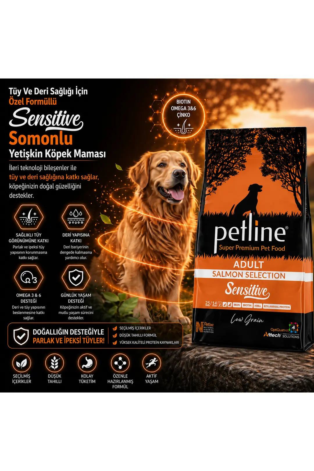 Tüy Ve Deri Sağlığı Için Özel Formüllü Sensitive Somonlu Yetişkin Köpek Maması 3 Kg