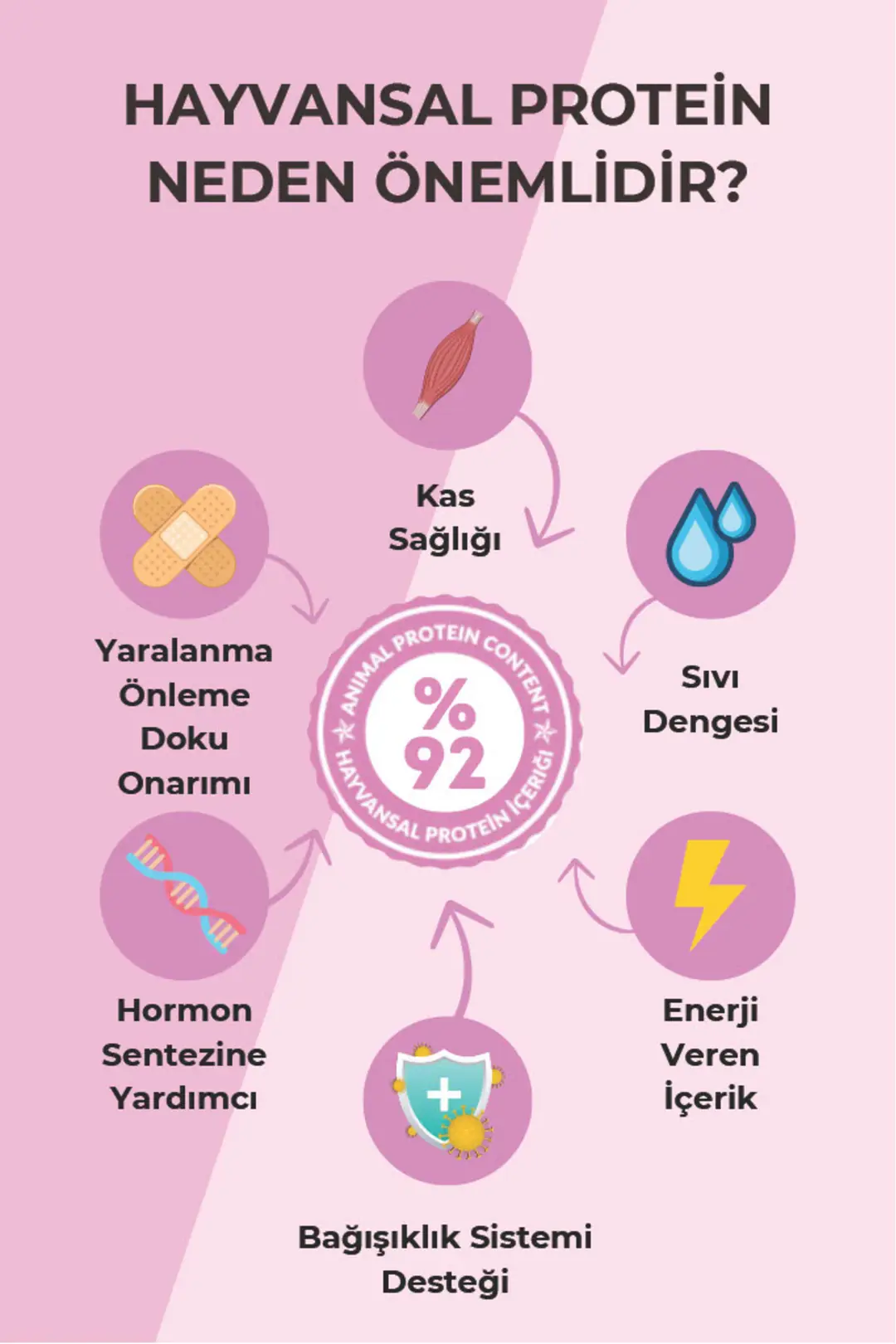 Anne Ve Yavruya Özel Besleyici Tavuklu Kedi Maması 1,5kg - Family