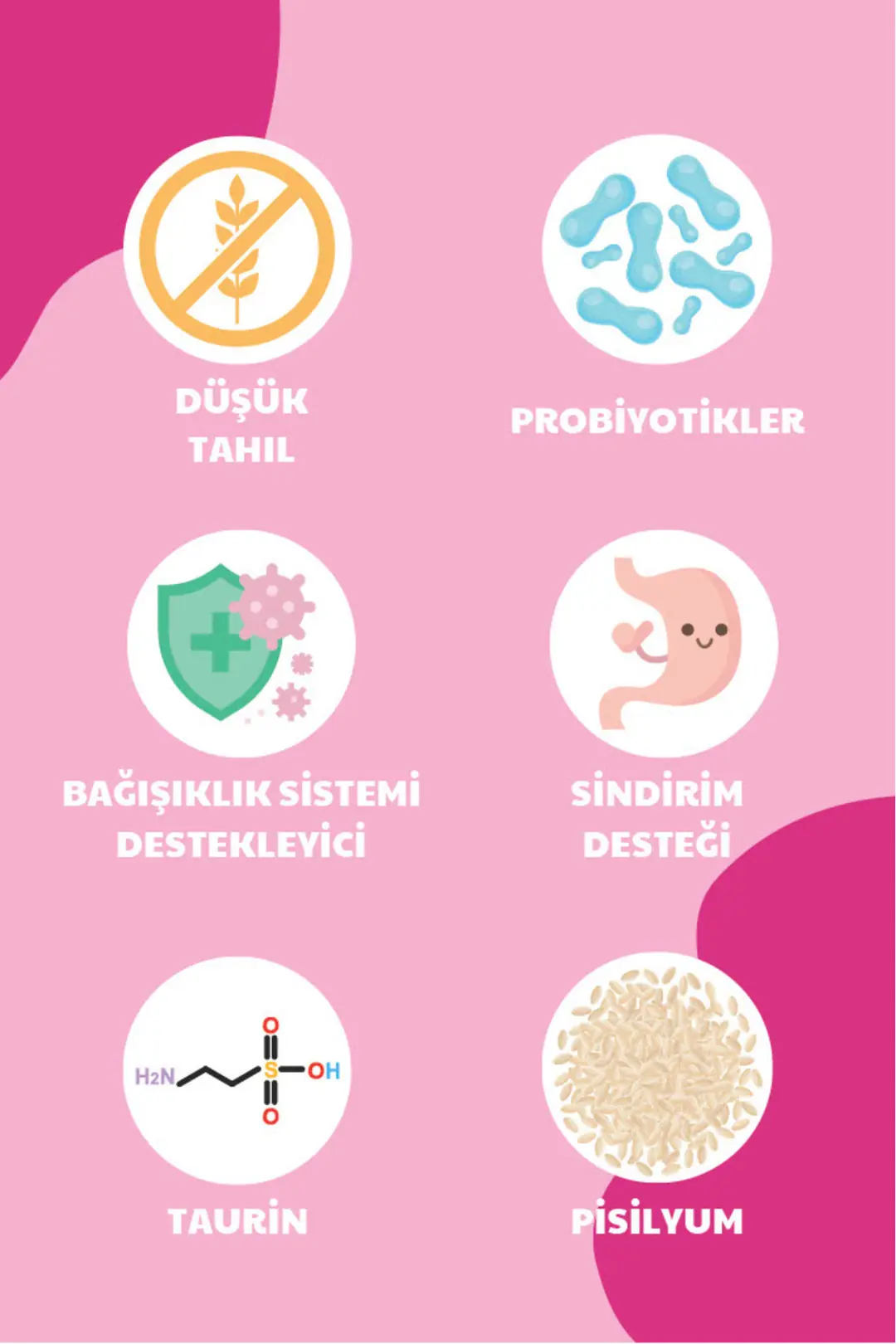 Kilo Almasını Engelleyici Diyet Özellikli Kısır Mama- Kısırlaştırılmış Somonlu Kedi Maması 10 Kg