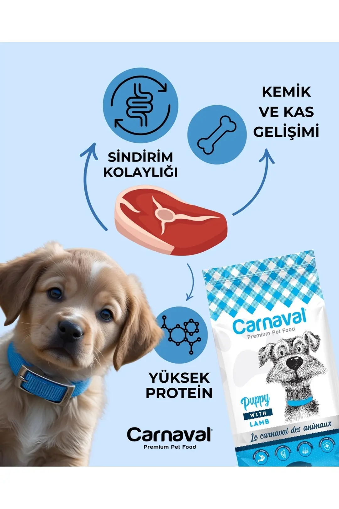 Kuzu Etli Ve Pirinçli Yavru Köpek Maması 15 Kg