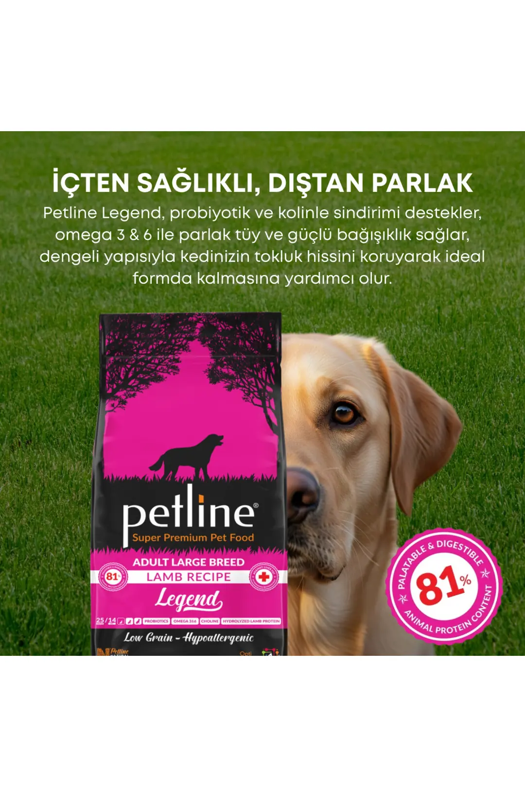 Probiyotik ve Omega3&6 Zengini Yetişkin Köpek Maması 3kg - Legend
