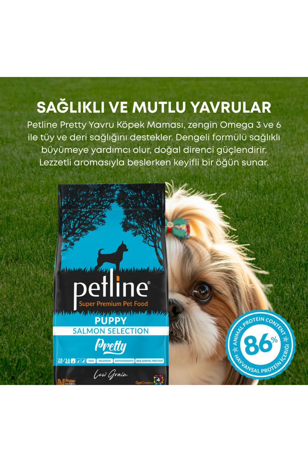 Antioksidan Ve Omega Deposu Somonlu Yavru Köpek Maması 12kg - Pretty