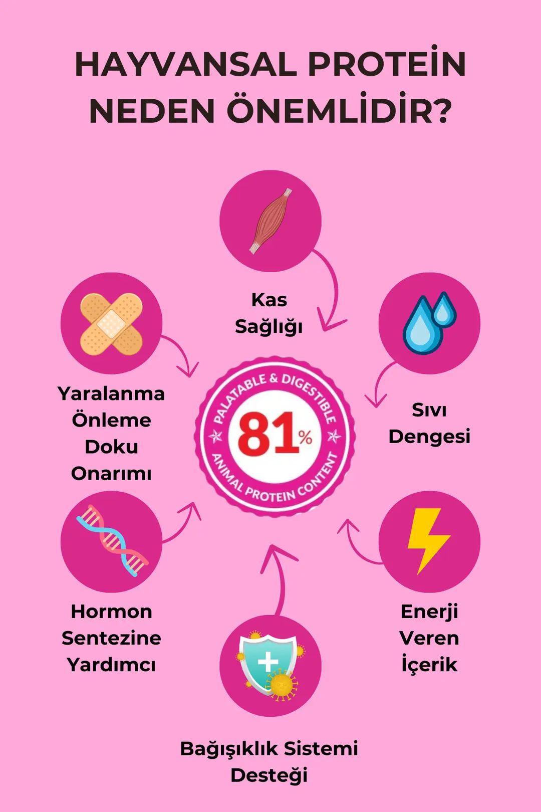 Probiyotik ve Omega3&6 Zengini Yetişkin Köpek Maması 12kg - Legend