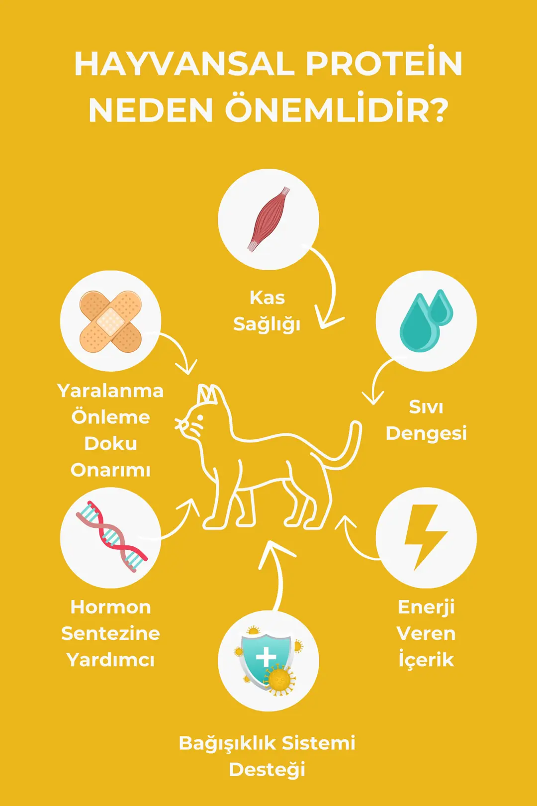 Tavuklu Yetişkin Kedi Maması 1.5kg