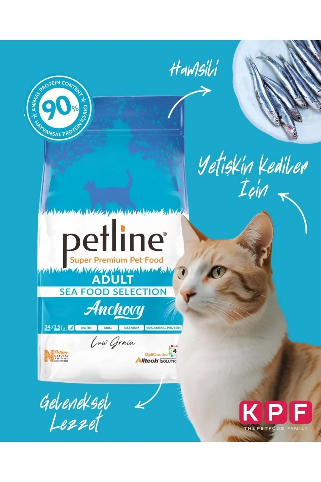 Yerli Karadeniz Hamsili -omega Deposu, Biotinli Balıklı Yetişkin Kedi Maması 10kg- Anchovy