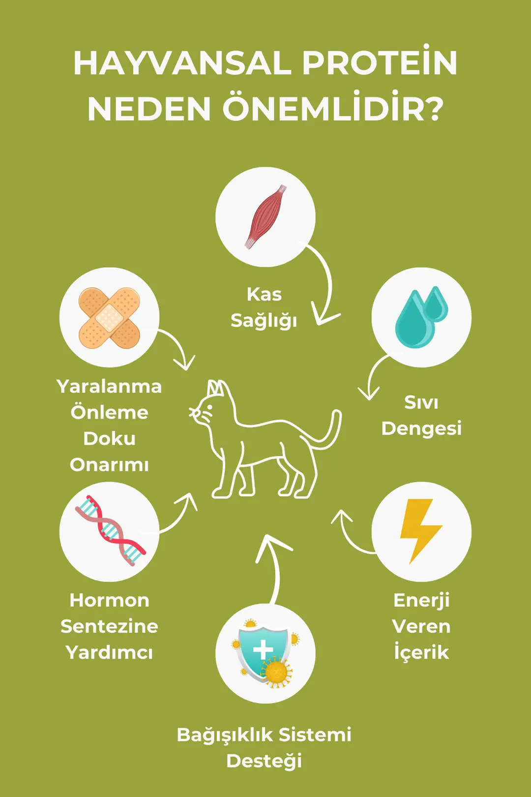 Kuzu Etli Ve Pirinçli Yetişkin Köpek Maması 6kg (2X3KG)