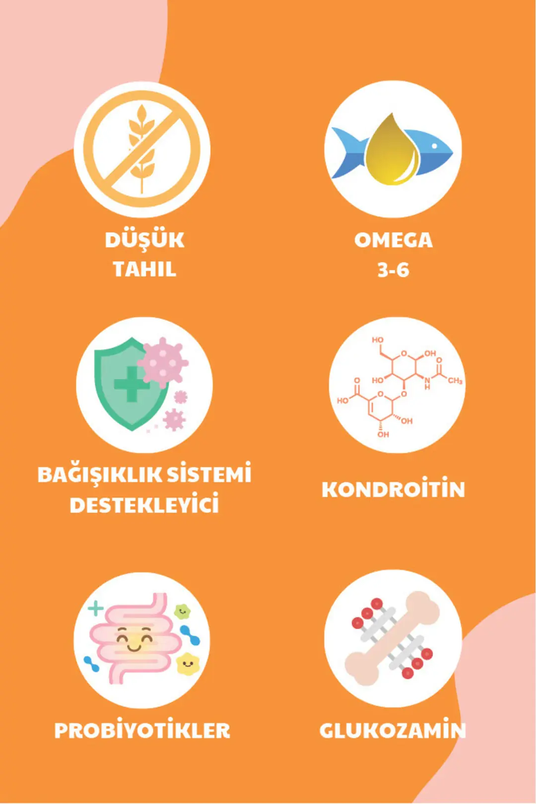Omega 3&6 Deposu, Glukosaminli, Probiyotikli Yavru Kedi Maması 10kg - Lovely