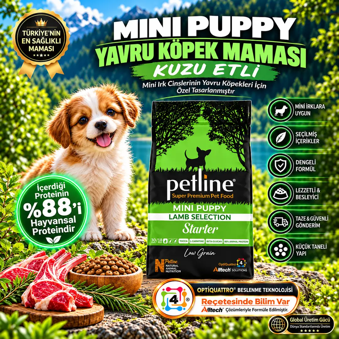 Mini Irklara Özel Üretilmiş Kuzu Etli Yavru Köpek Maması Başlangıç 6kg (2X3KG) - Starter