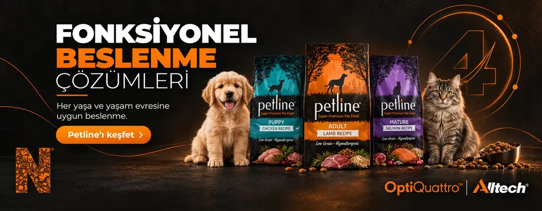 Fonksiyonel Beslenme Çözümleri