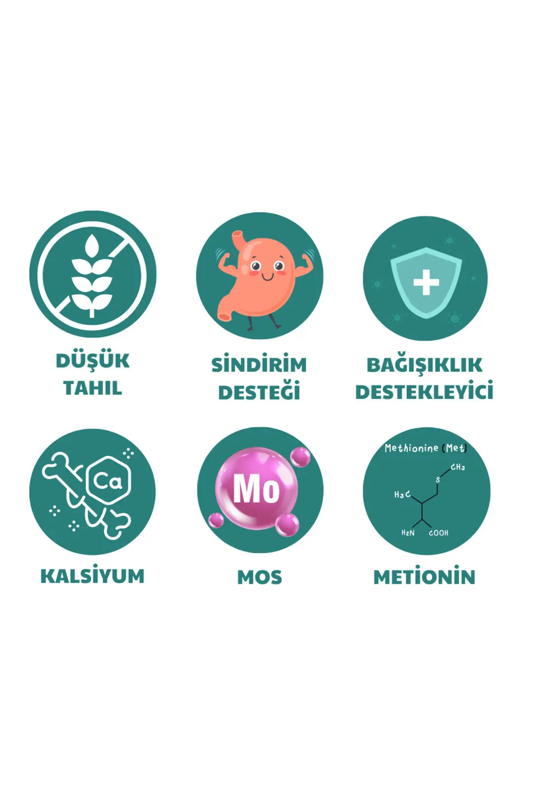 Mini Irk Köpeklere Özel Geliştirilmiş Kuzu Etli Köpek Maması 6 Kg Clever